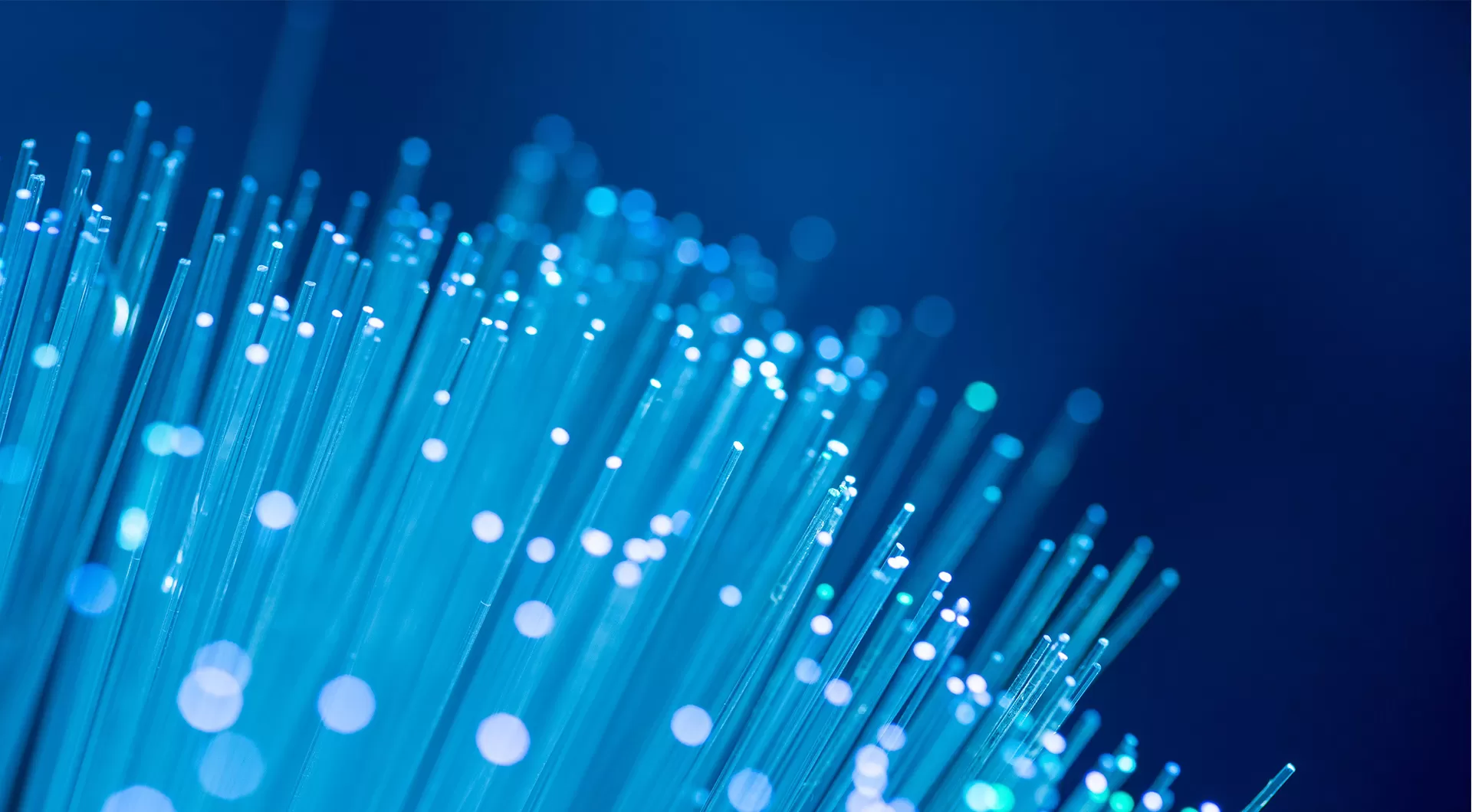 Productos de cable premium: diseñados para seguridad, durabilidad y rendimiento
